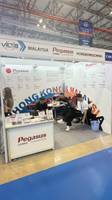 PEGASUS WORLDWIDE LOGISTICS(HONG KONG)CO LTD