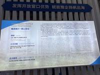 中国河南国际合作集团有限公司