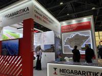 NEGABARITIKA