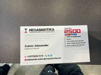 NEGABARITIKA