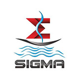 西格玛国际物流（上海）有限公司